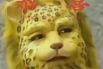 Journey to the West golden leopard rich homophone avatar picture