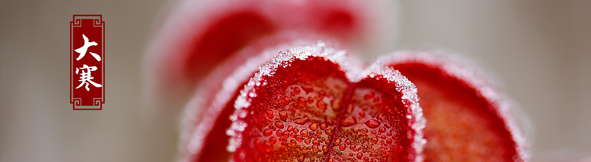 大寒手機壁紙