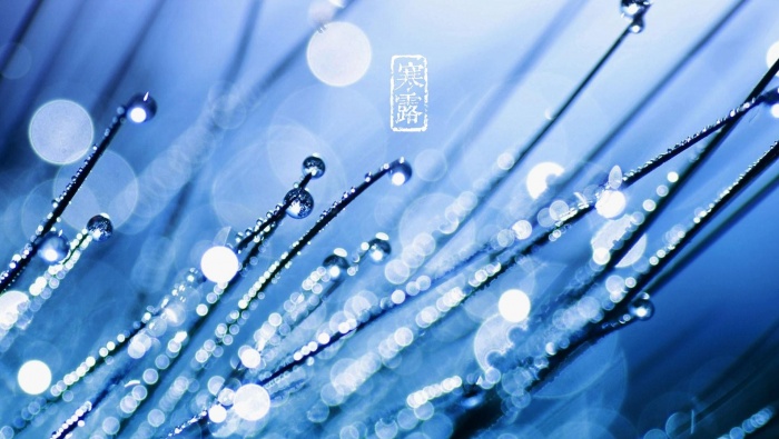 24節氣之寒露電腦壁紙