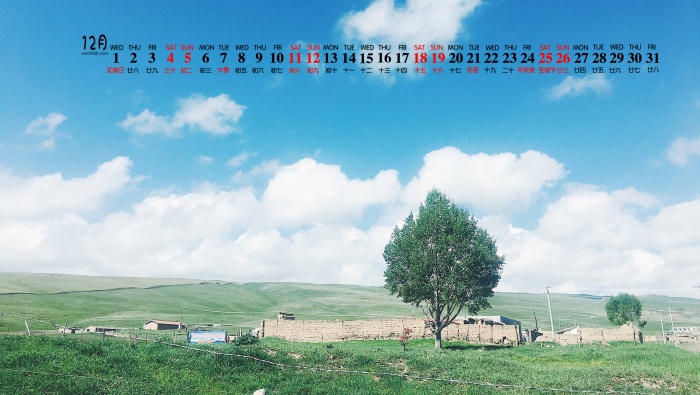 Endless grassland scenery calendar wallpaper for December 2021