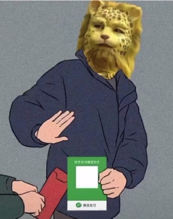 Leopard WeChat QR code payment material