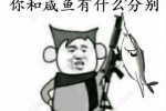 人生如果不钓鱼 你和咸鱼有什么分别