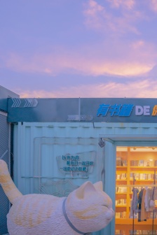 魔都猫咪高清质感手机壁纸