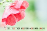 2021年8月绿色主题高清日历壁纸