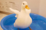 Pictures of avatars of small animals that are sand sculptures but very healing.