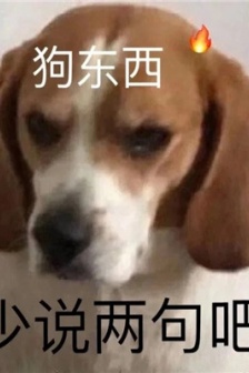 可愛又有趣的萌寵聊天表情包