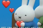 Summary of Miffy Rabbit themed expression packs