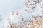 2022年1月清新淡雅花朵日曆壁紙