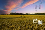 2021年6月芒种桌面日历壁纸图片