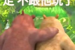 熊大熊二走不跟他玩了表情包