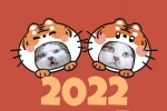 2022暴富