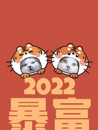 2022猫咪暴富手机壁纸