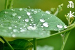 24 Solar Terms: Rain Season Picture Wallpaper