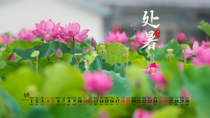 September 2021 Solar Terms Desktop Calendar Wallpaper