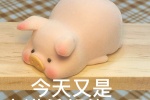 Collection of cute pig related emoticons