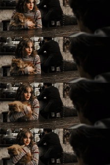 Harry Potter and the Prisoner of Azkaban mobile wallpaper