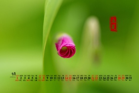 May 2022 Beginning of Summer Desktop Calendar Wallpaper