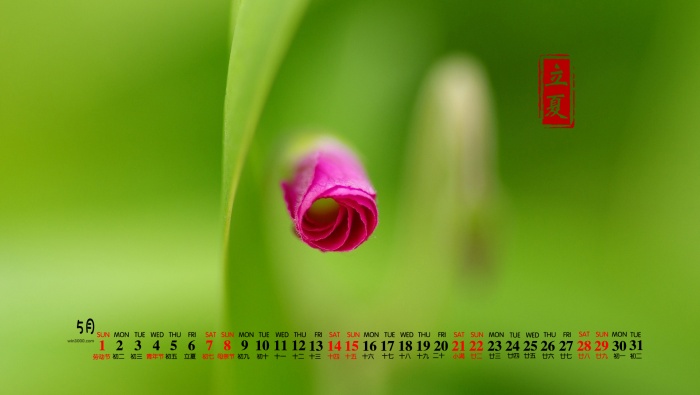 2022年5月节气立夏桌面日历壁纸
