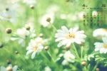 Eye-protecting green plants HD desktop calendar wallpaper for April 2022