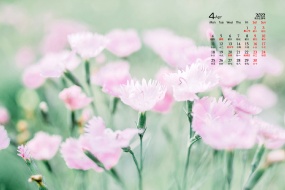 April 2022 leaves, flowers and grass eye protection desktop calendar wallpaper