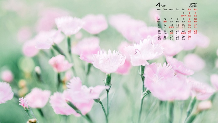 April 2022 leaves, flowers and grass eye protection desktop calendar wallpaper