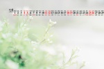 Fresh and elegant HD calendar wallpaper for December 2021