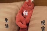 生活VS我VS现实表情包