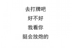 去打牌吧，好不好，我看你挺会放炮的