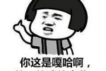 你这是嘎哈啊，能不能消停点儿？