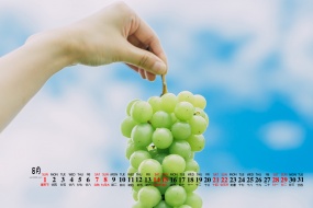 August 2021 gourmet desktop calendar wallpaper under the blue sky