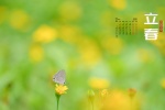 February 2022 Beginning of Spring Calendar Wallpaper