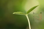 Eye-protecting green landscape desktop calendar wallpaper for April 2022