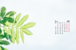 2022年3月清新綠色主題電腦日曆壁紙