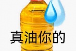 真油你的