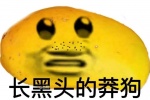 长黑头的莽狗表情包