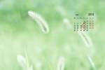 2021年4月護眼綠色風景桌麵日曆壁紙