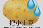 把小土豆都给整无语了