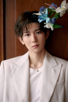 王源米灰色西装帅气活动照写真