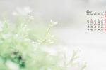 2022年4月小清新護眼日曆壁紙