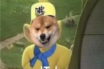 Shiba Inu version of New Journey to the West funny emoticon pictures