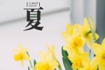 立夏唯美圖片高清手機壁紙