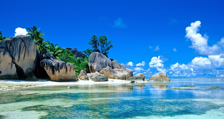 2021年8月桌面壁纸