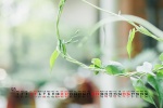 2021年9月小清新绿色花卉电脑日历壁纸