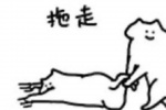 猫咪拖走表情包