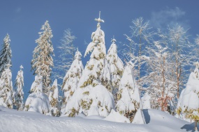 唯美好看的雪景图片桌面壁纸