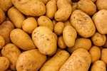 HD potato picture desktop wallpaper