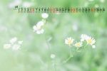 June 2021 pure green natural scenery desktop calendar wallpaper