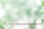2021年8月绿色主题高清日历壁纸