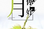 Hello September beautiful mobile wallpaper