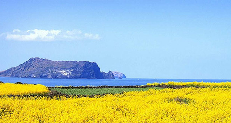 Complete collection of landscape desktop wallpapers